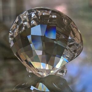 Swarovski Clear Faceted Shell with Rainbow Highlights